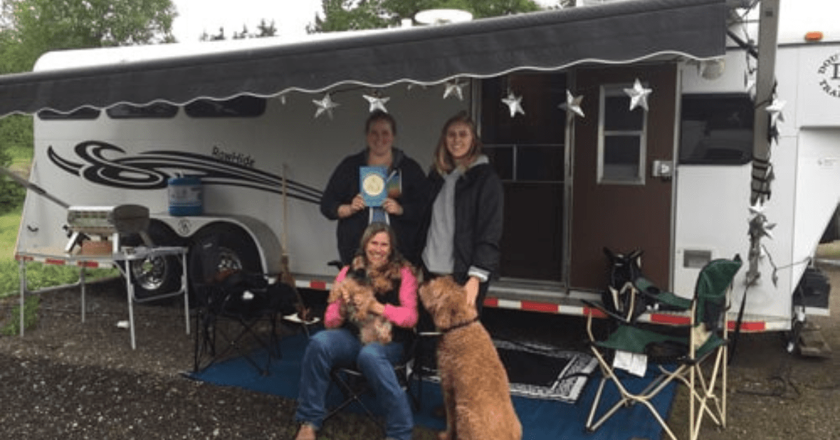 21 MustHave Horse Trailer Accessories of All Time